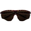 Brown Mosaic/D+ Earth Vision