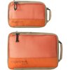 Citrus Orange