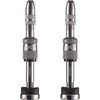 e*thirteen components - Quick Fill Plasma Tubeless Valves - Silver