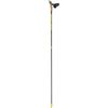 Fischer - RCS Ski Poles