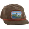 Peat Moss