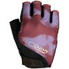 Maroon Pulse