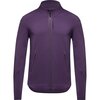 Purple Indigo