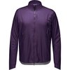 Purple Indigo