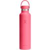 Popstar Pink