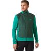 Signal Green