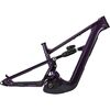 Purple Nightshade