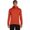 Icebreaker - Merino 260 Quantum Long-Sleeve Zip Hoodie - Men's - Agate