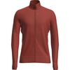 Icebreaker - Merino 260 Quantum Long-Sleeve Zip Top - Men's - Agate