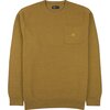 Olive 2