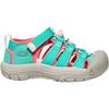 Bright Aqua/Pink-A-Boo