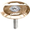 Frost Bronze
