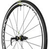 Mavic Cosmic Elite UST Disc Rennrad Laufräder kaufen? - Bikes