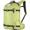 Macaw Green