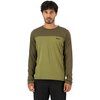 Fern/Olive2