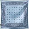 Paisley Pale Blue