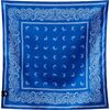 Paisley Stellar Blue