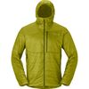 Golden Lime