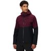 Winterberry/Black