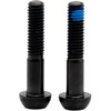 OAK Components - Titanium Screw Set (2 pcs) - Black
