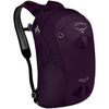Osprey Packs - Daylite Travel Bag