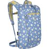 Daisy Print/Sevres Blue