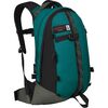 Dark Pine Green