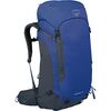 Rays Blue