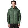 Canopy Green