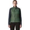 Canopy Green