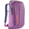 Brisk Purple