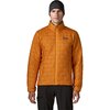 Autumn Orange