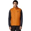Autumn Orange