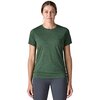Canopy Green - Light Canopy Green X-Dye