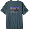 Patagonia - 73 Skyline Regenerative Organic Pilot Cotton T-Shirt - Men's - Summit Blue
