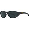 Desert Tortoise HDPV Polarized Smoke