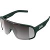 Pargasite Green/Clarity Road/Sunny Silver