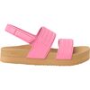 Pink Cosmos/Tan