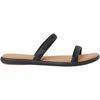 Black/Tan