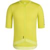 Chartreuse/White