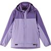 Blooming Lilac