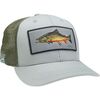 Light Gray/Green