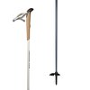 Salomon - Outpath Nordic Ski Poles - One Color