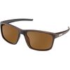 Burnished Brown/Polarized Brown