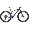 Carbon Black/Indigo Purple