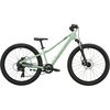 Scott - Roxter 400 24in - Kids' - Pastel Green