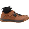 Oak Brown