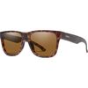 Matte Tortoise/ChromaPop Polarized Brown