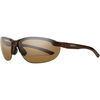 Brown Frame/Brown Polarized