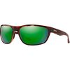 Tortoise/Green Mirror Polarized